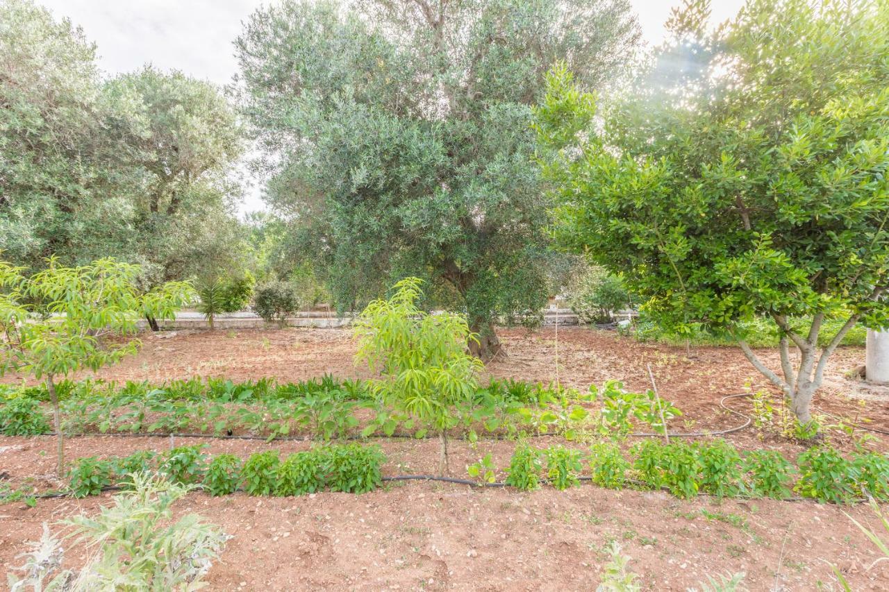Lamia Di Nonna Mena Villa San Vito dei Normanni Eksteriør billede